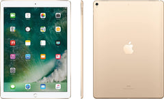 iPad Pro 12.9" (2nd Gen)
