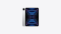 6th Gen iPad Pro 11"