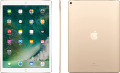 iPad Pro 12.9" (1st Gen)