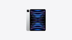 6th Gen iPad Pro 11"